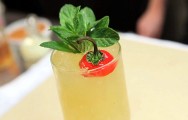 Tequila Julep Cocktail Recipe
