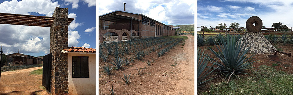 el-pandillo-tequila-distillery