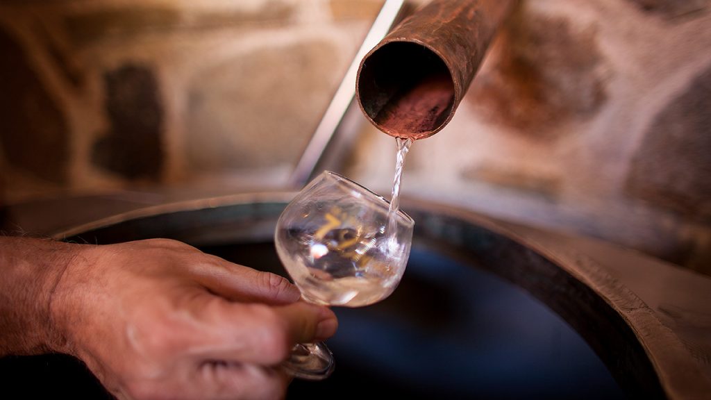 The World’s Highest Rated Tequila Distilleries TasteTequila