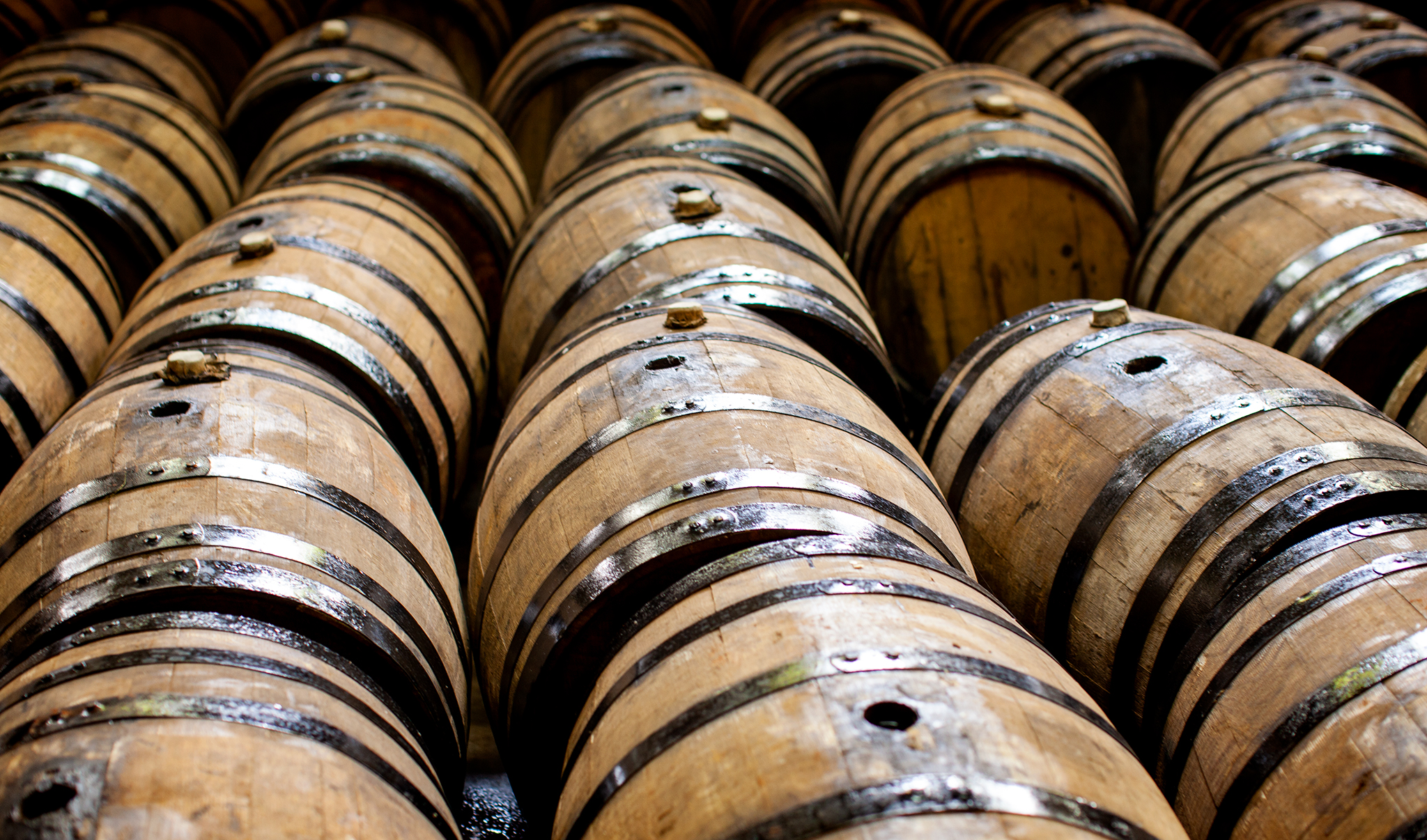 empty tequila barrels