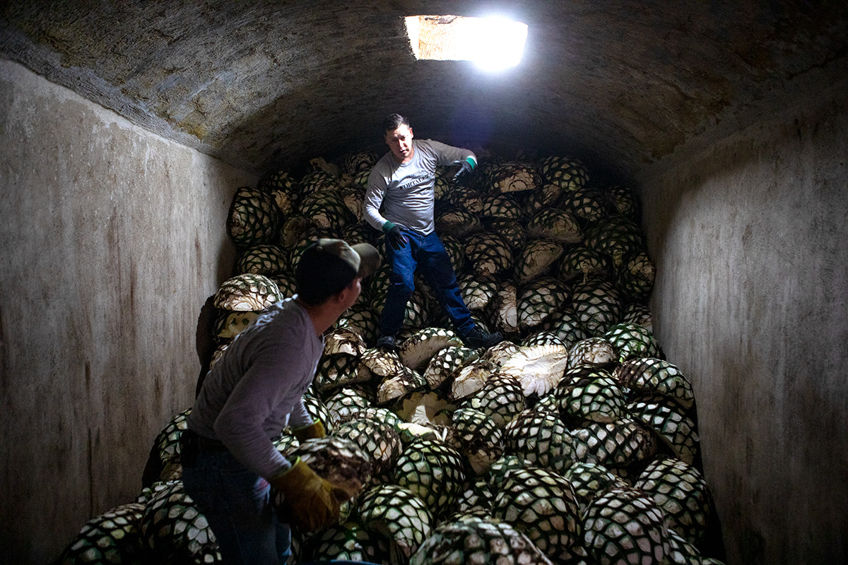 Inside an Agave Oven at a Tequila Distillery